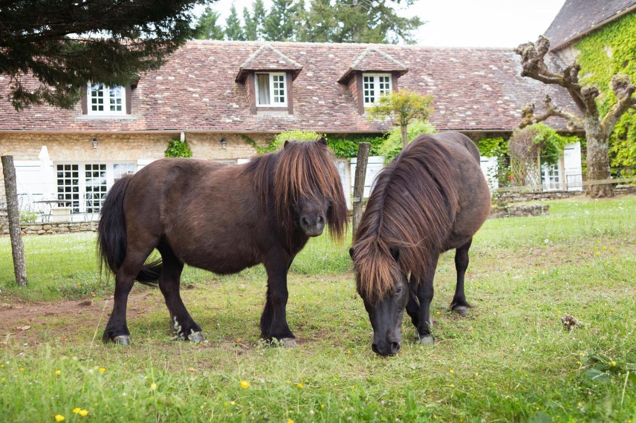 Hotel La Metairie - Teritoria- Les Collectionneurs Mauzac-et-Grand-Castang Kültér fotó